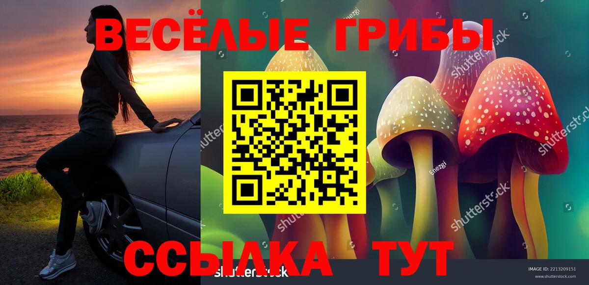 Галлюциногенные грибы Psilocybine cubensis Семилуки