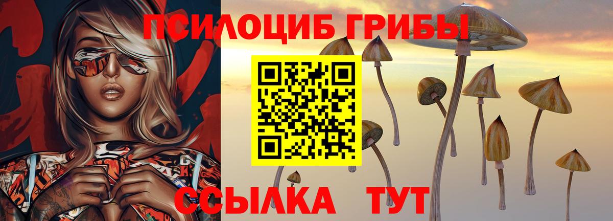 Семилуки  Галлюциногенные грибы Cubensis  Вход с VPN 