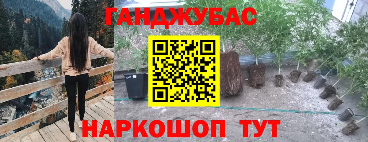 Бошки марихуана план Семилуки